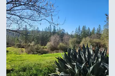 9366 Ranger Trail, Oregon House, CA 95962 - Photo 4