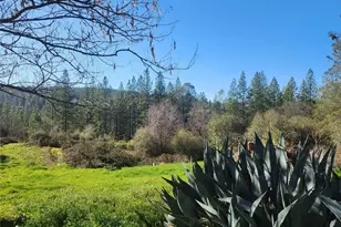 9366 Ranger Trail, Oregon House, CA 95962 - Photo 4