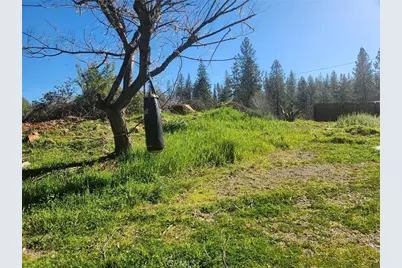 9366 Ranger Trail, Oregon House, CA 95962 - Photo 42