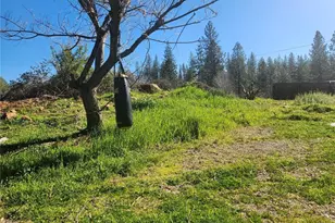 9366 Ranger Trail, Oregon House, CA 95962 - Photo 42