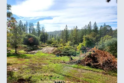 9366 Ranger Trail, Oregon House, CA 95962 - Photo 2