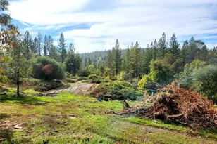 9366 Ranger Trail, Oregon House, CA 95962 - Photo 2