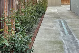 1645 Olivewood, Orland, CA 95963 - Photo 22