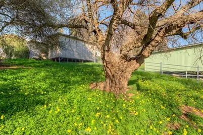 2454 Oro Quincy, Oroville, CA 95966 - Photo 42