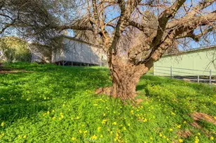 2454 Oro Quincy, Oroville, CA 95966 - Photo 42