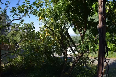 18 Oak Hill, Oroville, CA 95966 - Photo 54