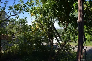 18 Oak Hill, Oroville, CA 95966 - Photo 54