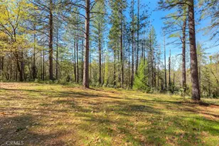 179 Elams Ranch, Oroville, CA 95966 - Photo 24