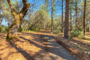 179 Elams Ranch, Oroville, CA 95966 - Photo 36