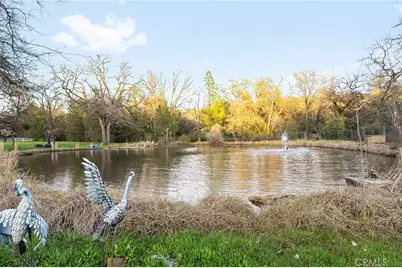 45 Grand Oak, Oroville, CA 95966 - Photo 4
