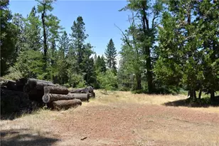 11605 La Porte Rd, Clipper Mills, CA 95925 - Photo 16