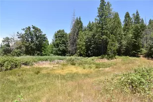 11605 La Porte Rd, Clipper Mills, CA 95925 - Photo 10