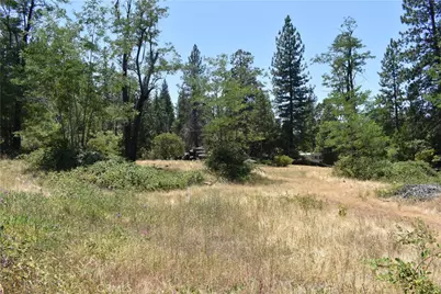 11605 La Porte Road, Clipper Mills, CA 95925 - Photo 8