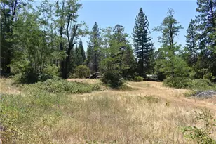 11605 La Porte Rd, Clipper Mills, CA 95925 - Photo 8