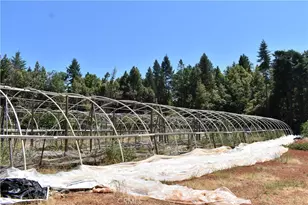 11605 La Porte Rd, Clipper Mills, CA 95925 - Photo 40