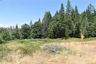 11605 La Porte Rd, Clipper Mills, CA 95925 - Photo 12