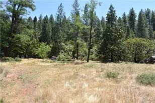 11605 La Porte Rd, Clipper Mills, CA 95925 - Photo 14