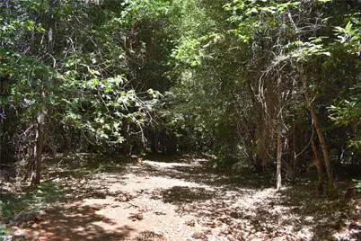 11605 La Porte Road, Clipper Mills, CA 95925 - Photo 42