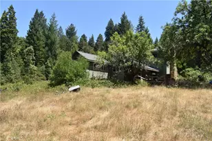 11605 La Porte Rd, Clipper Mills, CA 95925 - Photo 6