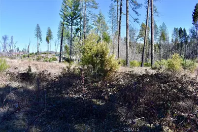 20 Meadow Lane, Berry Creek, CA 95916 - Photo 10