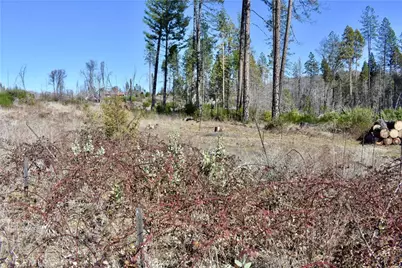 20 Meadow Lane, Berry Creek, CA 95916 - Photo 22