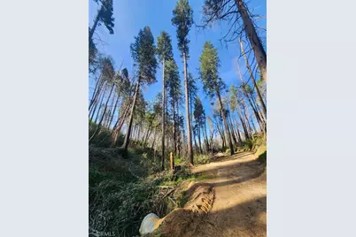 11691 Oro Quincy Highway, Berry Creek, CA 95916 - Photo 40