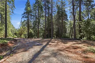 19449 Oroville Forbestown, Oroville, CA 95966 - Photo 44