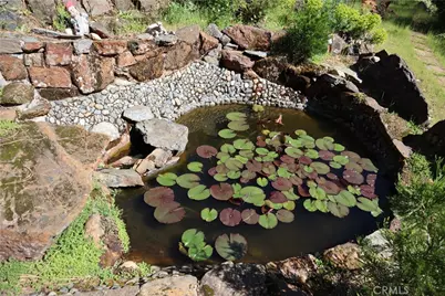 19449 Oroville Forbestown, Oroville, CA 95966 - Photo 62