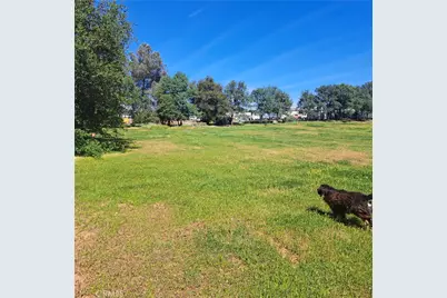 6250 Custer Lane, Palermo, CA 95966 - Photo 18