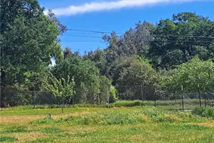 6250 Custer Ln, Palermo, CA 95966 - Photo 10