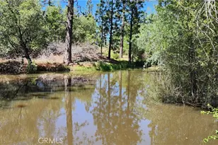 89 Crystal Pines, Oroville, CA 95965 - Photo 38