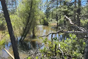 89 Crystal Pines, Oroville, CA 95965 - Photo 40