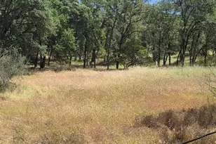 110 Roemelt Ln, Oroville, CA 95966 - Photo 24