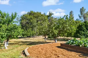 31 Wahoo Ave, Oroville, CA 95966 - Photo 40