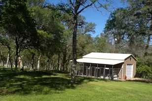 260 Orange Ave, Bangor, CA 95914 - Photo 50