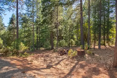 10647 Forbestown, Challenge, CA 95925 - Photo 64