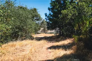 6070 Old Olive, Oroville, CA 95966 - Photo 18