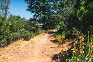 6070 Old Olive, Oroville, CA 95966 - Photo 26