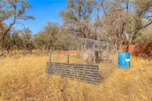 71 Webb Creek, Bangor, CA 95914 - Photo 32