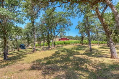 260 Orange Avenue, Bangor, CA 95914 - Photo 38