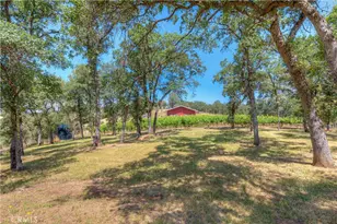260 Orange Ave, Bangor, CA 95914 - Photo 38