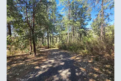 11605 Miller Peak Road, Oroville, CA 95965 - Photo 6