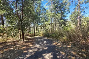 11605 Miller Peak Rd, Oroville, CA 95965 - Photo 6