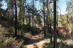 11605 Miller Peak Rd, Oroville, CA 95965 - Photo 48