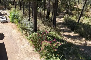 11605 Miller Peak Rd, Oroville, CA 95965 - Photo 38