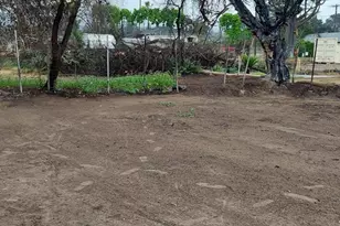 337 Figueroa Dr, Altadena, CA 91001 - Photo 6