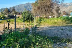 337 Figueroa Dr, Altadena, CA 91001 - Photo 4