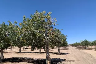10080 Santa Fe Fire Rd, Lucerne Valley, CA 92356 - Photo 14