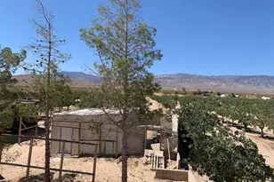 10080 Santa Fe Fire Rd, Lucerne Valley, CA 92356 - Photo 20