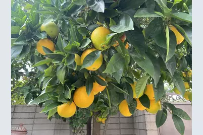 9212 Creemore Drive, La Crescenta, CA 91214 - Photo 26